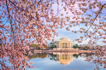 Washington DC in Spring