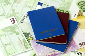 colorful passports on the background of money (euros)
