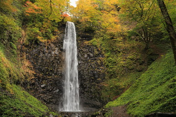 晩秋の玉簾の滝　Late autumn Tamasudarenotaki / Sakata, Yamagata, Japan