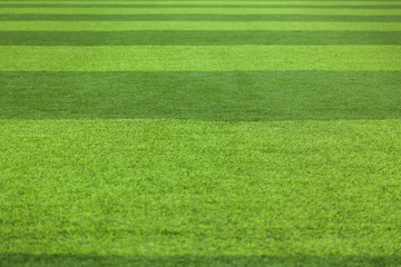 turf football field