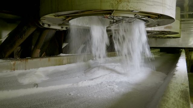 Crystal sugar moving along the conveyor belt at a sugar refinery. 4K
