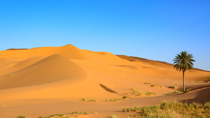 Erg Chebi dunes - Sahara. Merzouga. Morocco - obrazy, fototapety, plakaty