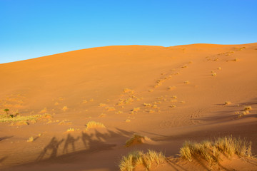 Erg Chebi dunes - Sahara. Merzouga. Morocco