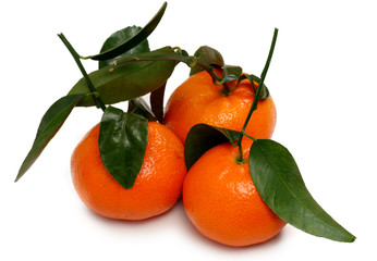 three tangerines isolated on white background
