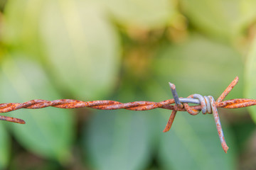 Detail of a rusty barbed wire fence on blurred nature background