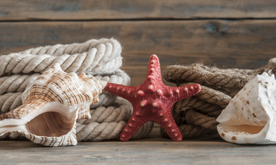 Fototapeta na wymiar Sea objects - shells, sea stars on wooden planks