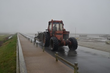 Oyster farmer on the dike and in the fog. Ostréiculteur sur la digue et dans le brouillard. France