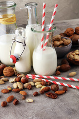 Alternative types of milks. Vegan substitute dairy milk.