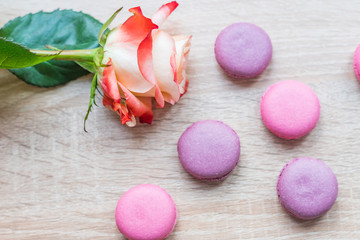 Tender french dessert macaroons with rose flower on wooden background