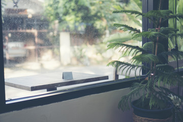 Natural living room