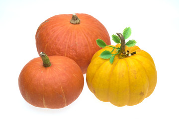 Giants pumpkin isolated on white background