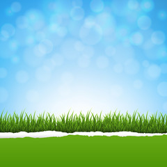 Green Grass And Ripped Paper Nature Background