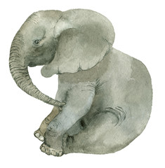 Obraz premium Sitting funny elephant