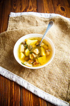 Fresh vegetable soup with forest mushrooms