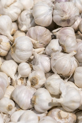 Garlic close up. Healthy and healthy food