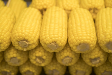 Sweet corn Grilled