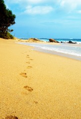 Footprints in the sand, on the shores of the Indian Ocean, sky, beach, Sri Lanka, Tangale