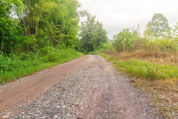 Fototapeta na wymiar Rural Road in the Rainy Season
