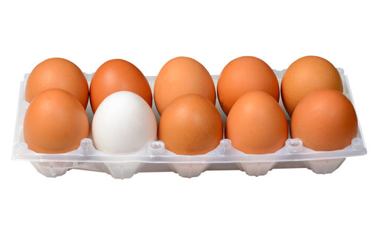 White egg surrounded by brown chicken eggs in a plastic box isolated on white background