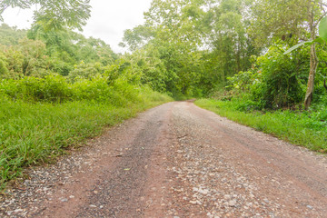 Fototapeta na wymiar Rural Road in the Rainy Season