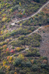 Road zigzags through the vineyards