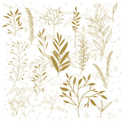 leafs plant set vintage icons vector illustration design