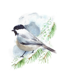 Chickadee bird sitting on the branch watercolor painting illustration isolated on white background  - 193161253