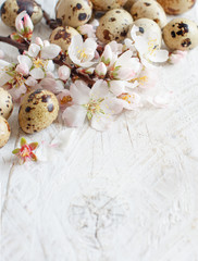 Quail eggs and almond flowers