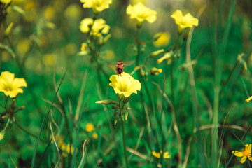 просто красивая картинка
