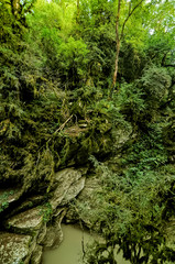Close-up streams of water between mountain stones. Beautiful mountain river stream with fast flowing water and rocks. Flowing water in beautiful landscape. Picturesque rapids on the river.