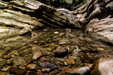 Close-up streams of water between mountain stones. Beautiful mountain river stream with fast flowing water and rocks. Flowing water in beautiful landscape. Picturesque rapids on the river.
