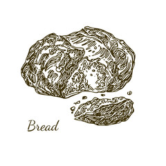 Fresh rye bread. Engraving style. Sketch. Vector illustration.