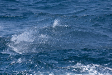 White crest of a sea wave. Selective focus. Shallow depth of field