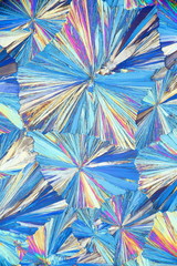 Crystals of a common painkiller acetylsalicylic acid, microscope image