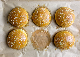 Homemade burger bun on bakery parchment on wooden table. Food photography
