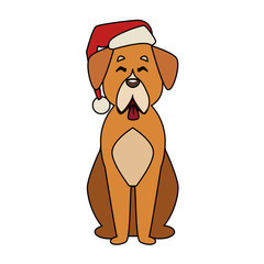 Dog with christmas hat icon vector illustration graphic design