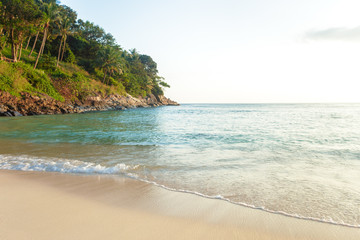 Sea. Tropical Paradise.