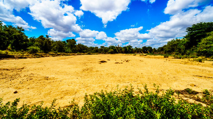 Completely dry river at the end of the dry season in Kruger National Park in South Africa