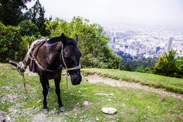 Naturaleza y ciudad. 