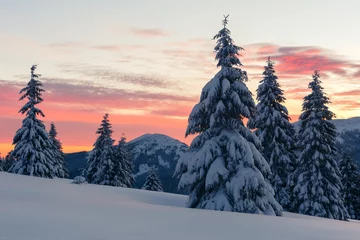 Foto op Aluminium Fantastic orange winter landscape in snowy mountains glowing by sunlight. Dramatic wintry scene with snowy trees. Christmas holiday concept. Carpathians mountain © Ivan Kmit