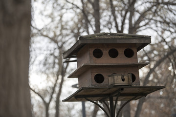 Bird House_01