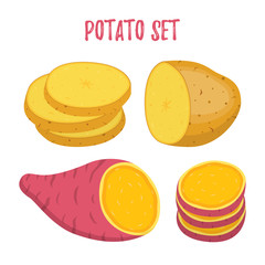 Vector potato set. Violet sweet, brown potatoes, slices. Cartoon flat style