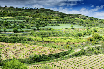 paisaje en españa