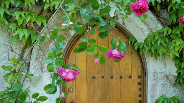 Historcal Door At University College Cork, Ireland