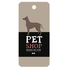 Poster Pet Shop Design label Xoloitzcuintli Mexican Hairless Dog Geometric style
