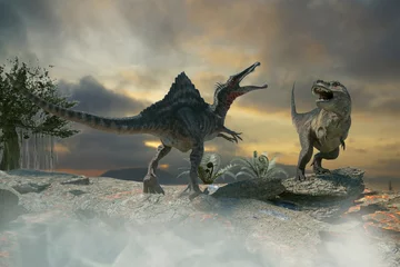 Keuken spatwand met foto 3D Illustration of a battle between two prehistoric dinosaur © de Art