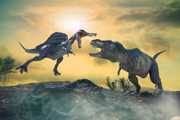 Keuken spatwand met foto 3D Illustration of a battle between two prehistoric dinosaur © de Art