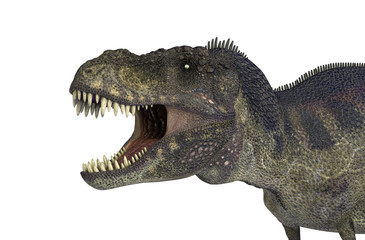 Obraz premium 3D Illustration of a Dinosaur Tyrannosaurus Rex on white background