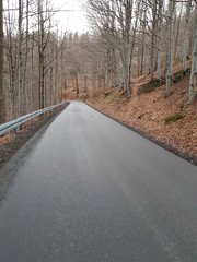 Fototapeta premium Pusta droga