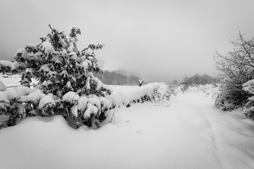 Invierno en la Sierra de Los Ancares, Lugo, después de una gran nevada